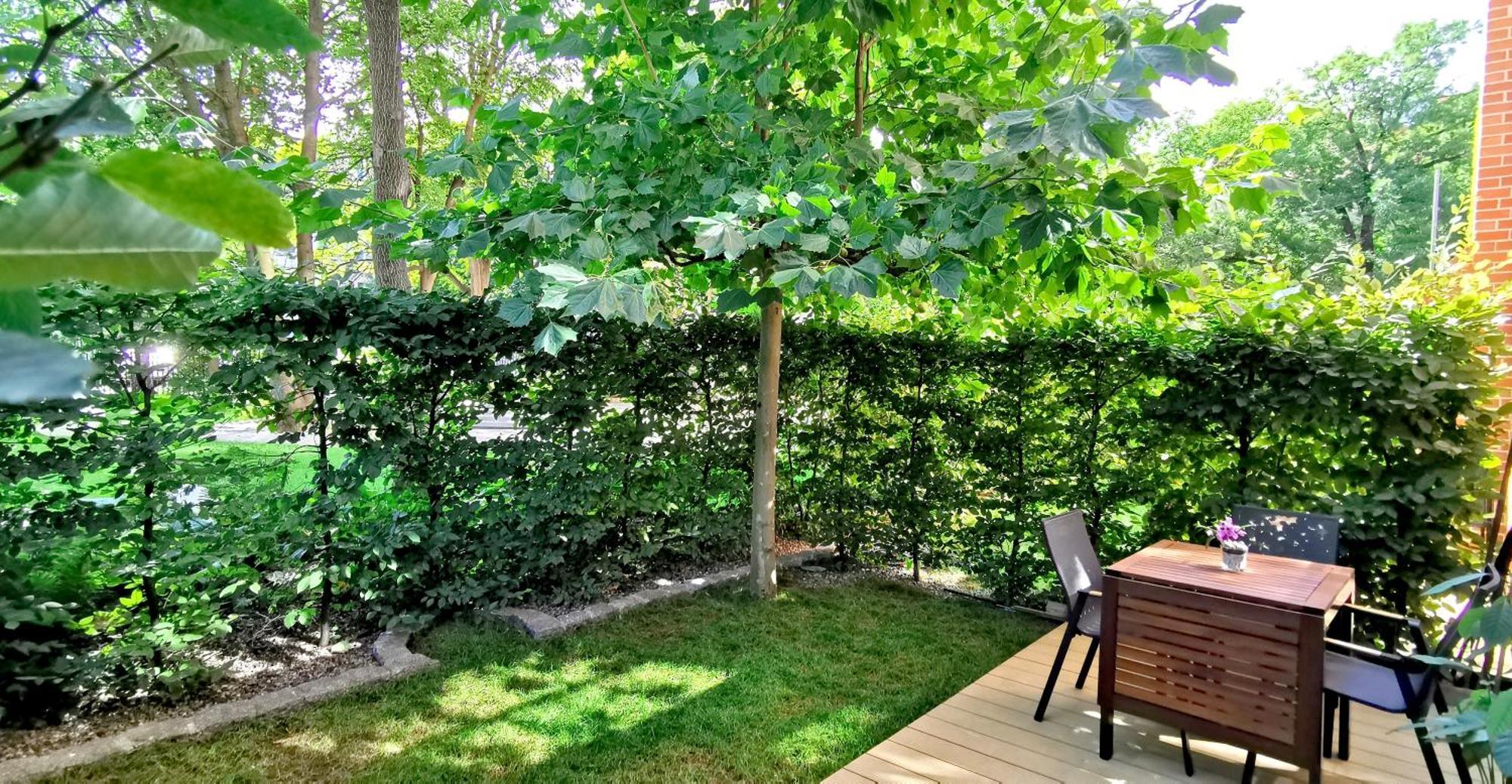 City Garden Apartment Вроцлав Екстериор снимка